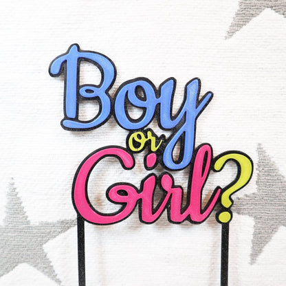 Boy or Girl Cake Topper